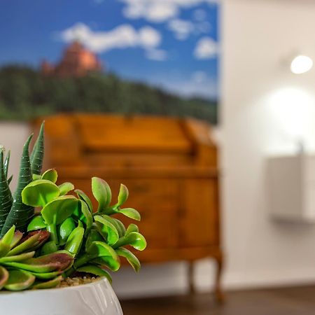 בולוניה Righi Suite Apartment מראה חיצוני תמונה